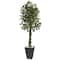 6.5ft. UV Resistant Ficus Artificial Tree in Slate Planter